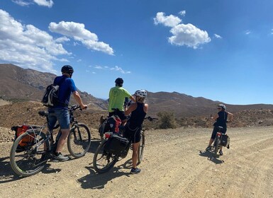 Heraklion: Wine Tasting E-Bike Tour