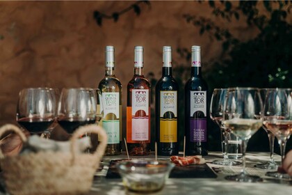 Loulé: Quinta da Tôr Winery, Wine Tasting Experience