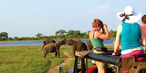 Depuis Hikkaduwa : Safari dans le parc national d'Udawalawe