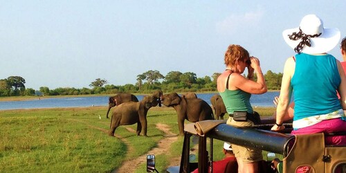 Desde Hikkaduwa: tour de safari por el parque nacional de Udawalawe