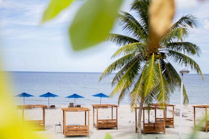 Progreso : Escapatta beach club Option tout compris