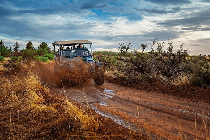 Picture 3 for Activity East Zion: Cliffs Sunset and Backcountry Off-Road Jeep Tour