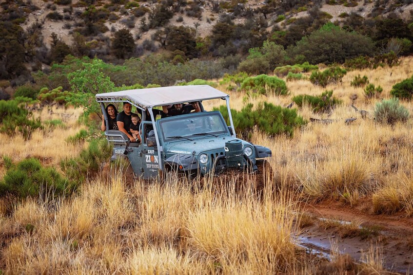 Picture 2 for Activity East Zion: Cliffs Sunset and Backcountry Off-Road Jeep Tour