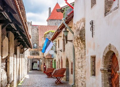 Tallinn Walking Tour: Entdecke die Altstadt und die historischen Wahrzeiche...