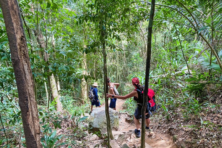 Picture 1 for Activity Paraty: Pão de Açucar Peak Trekking and Hiking Tour