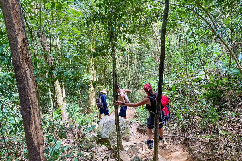 Picture 1 for Activity Paraty: Pão de Açucar Peak Trekking and Hiking Tour