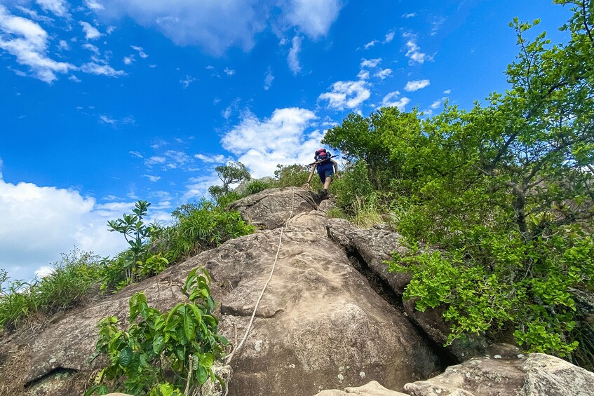 Picture 18 for Activity Paraty: Pão de Açucar Peak Trekking and Hiking Tour