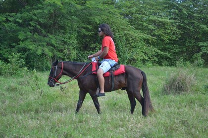 Puerto Plata: Mountain Horse Ride Tour with Drinks