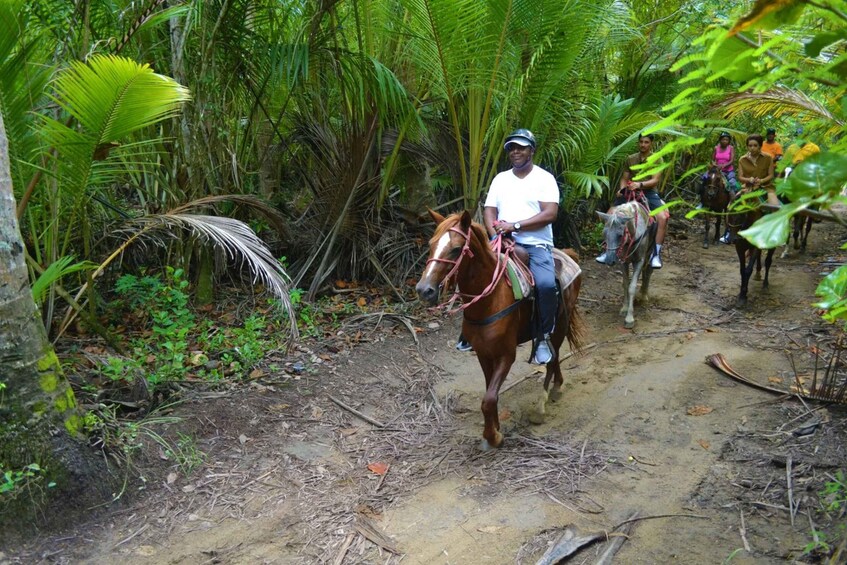 Picture 2 for Activity Puerto Plata: Mountain Horse Ride Tour with Drinks