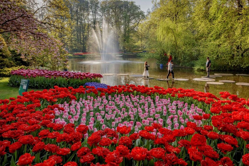 Picture 12 for Activity Amsterdam: Keukenhof, Tulip Farm Full-Day Tour with Cruise