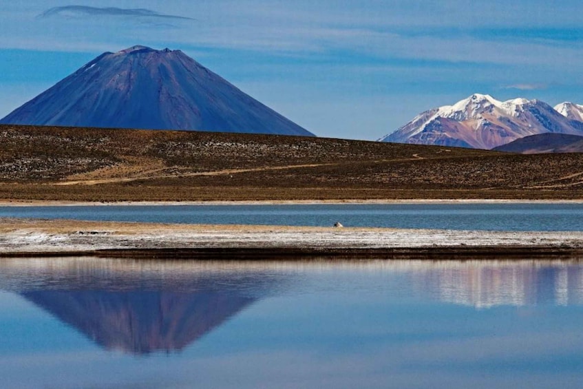 Picture 2 for Activity From Arequipa: Salinas Lagoon Full-Day Trip with Hot Springs