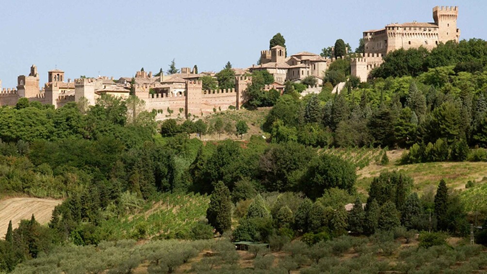 Picture 3 for Activity Gradara: Medieval Myths and Legends Group Walking Tour