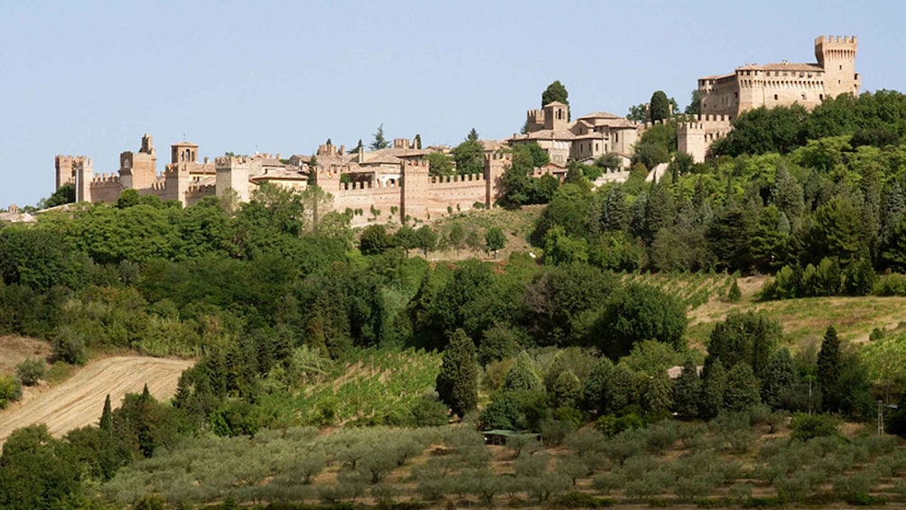 Picture 3 for Activity Gradara: Medieval Myths and Legends Group Walking Tour