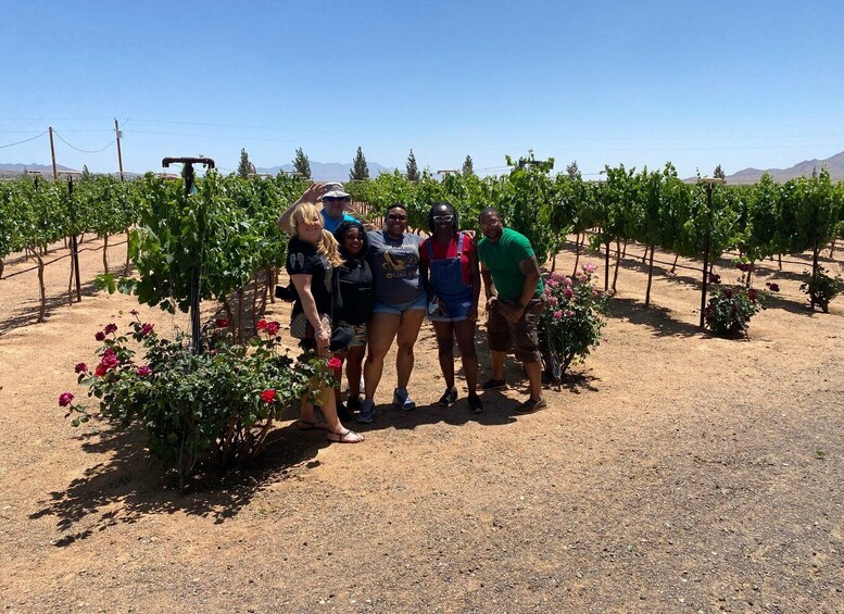 Picture 5 for Activity Scenic Desert Wine, Distillery Tastings/Brewery/RT66 & Lunch