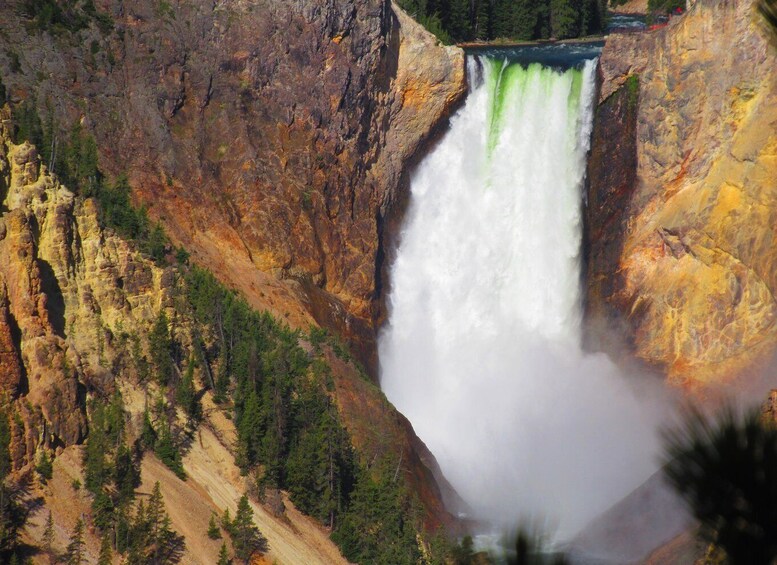 Picture 9 for Activity Grand Canyon of the Yellowstone: Loop Hike with Lunch