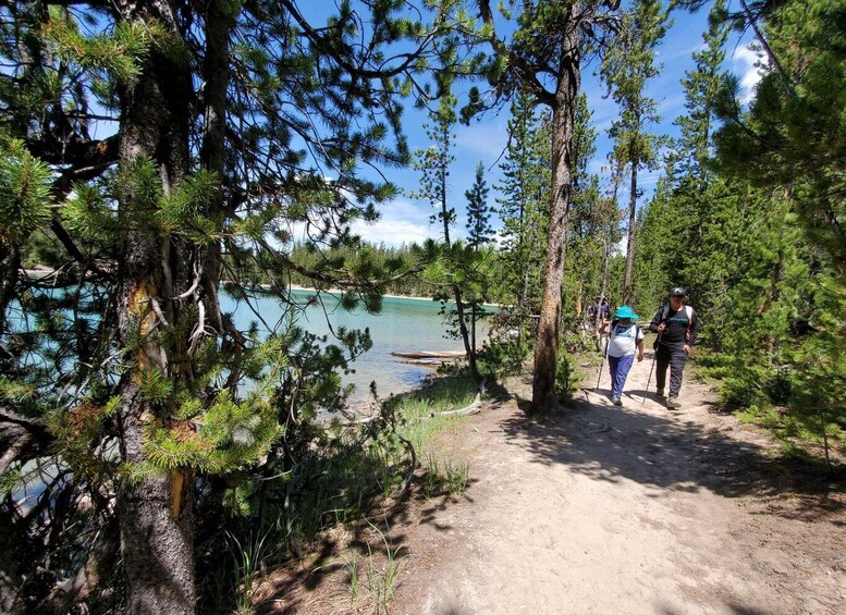 Picture 6 for Activity Grand Canyon of the Yellowstone: Loop Hike with Lunch