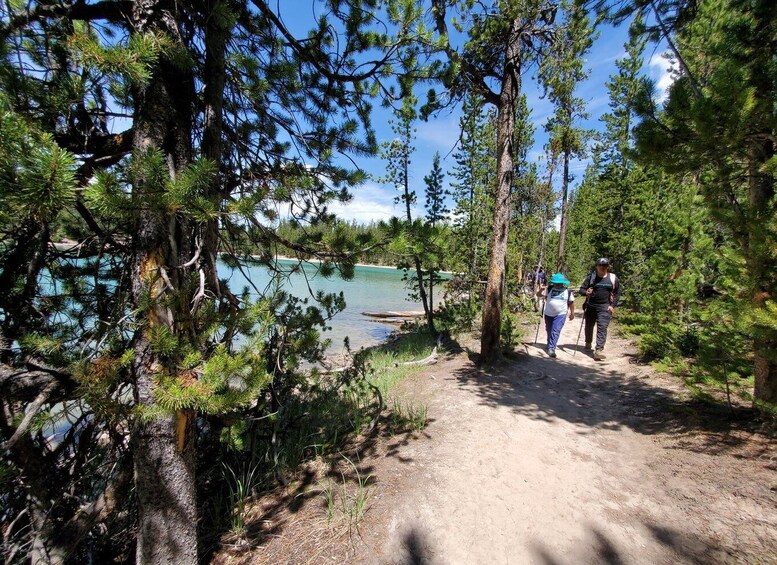 Picture 6 for Activity Grand Canyon of the Yellowstone: Loop Hike with Lunch