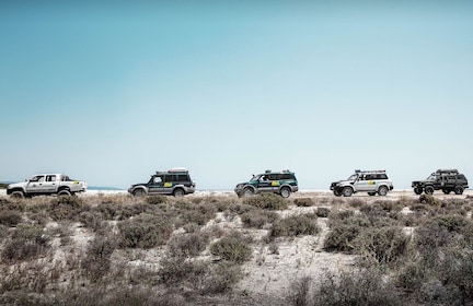 From Sithonia: Private 4x4 Off-Road Safari in Halkidiki