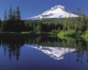 Von Portland aus: Columbia Gorge Wasserfälle und Mt. Hood Tour