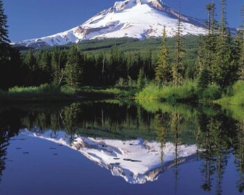 Desde Portland: las cascadas de Columbia Gorge y el monte. Buen recorrido