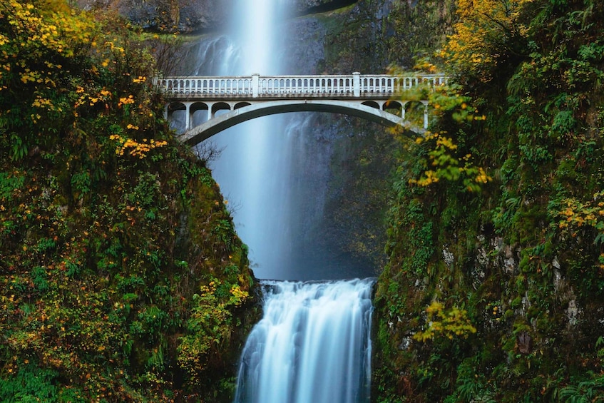 Picture 3 for Activity From Portland: Columbia Gorge Waterfalls and Mt. Hood Tour