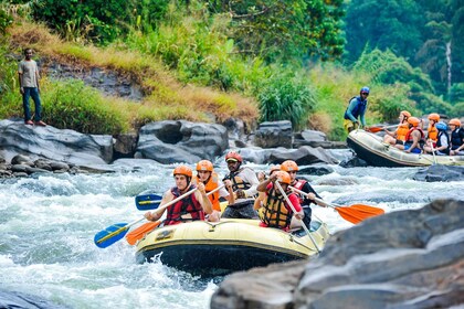 Exclusive Kitulgala: Whitewater Rafting with Lunch