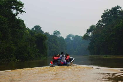 Bentota beach, River Mangroves lagoon, Wildlife Tour