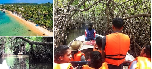Plage de Bentota, lagune de mangroves, circuit de découverte de la faune et...