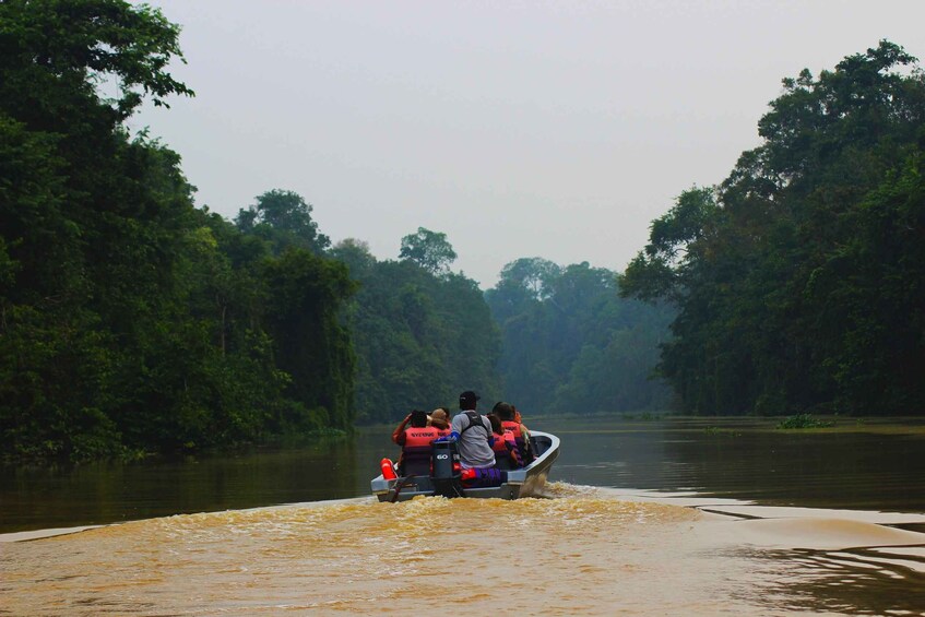 Picture 4 for Activity Bentota beach, River Mangroves lagoon, Wildlife Tour