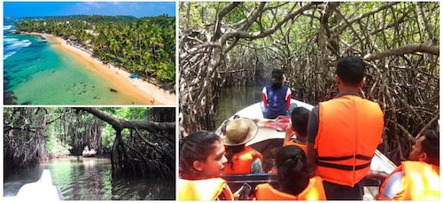 Plage de Bentota, lagune de mangroves, circuit de découverte de la faune et...
