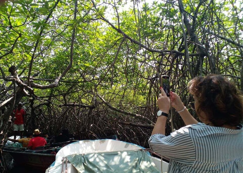 Bentota beach, River Mangroves lagoon, Wildlife Tour