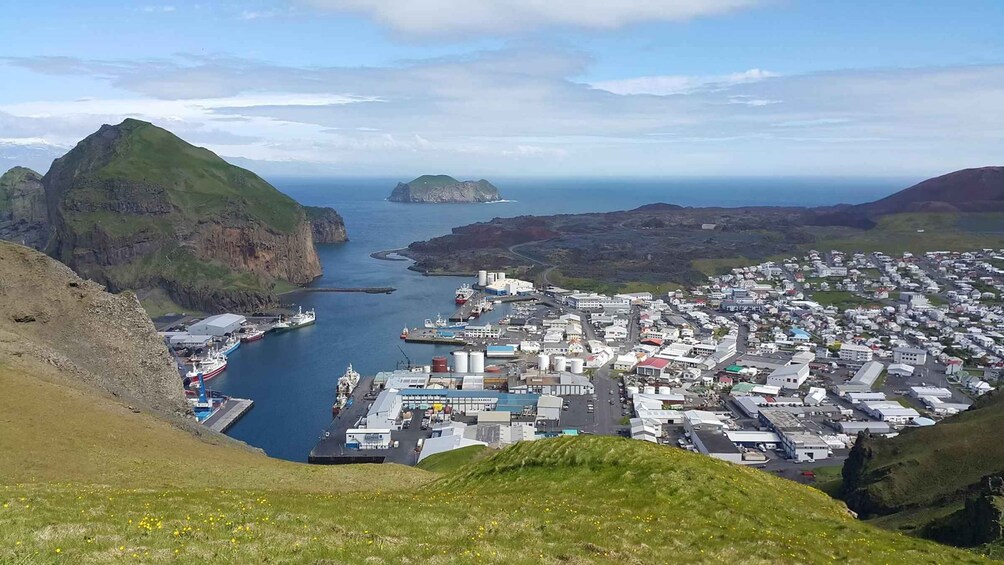 Picture 8 for Activity From Reykjavik: Vestmannaeyjar Private Tour
