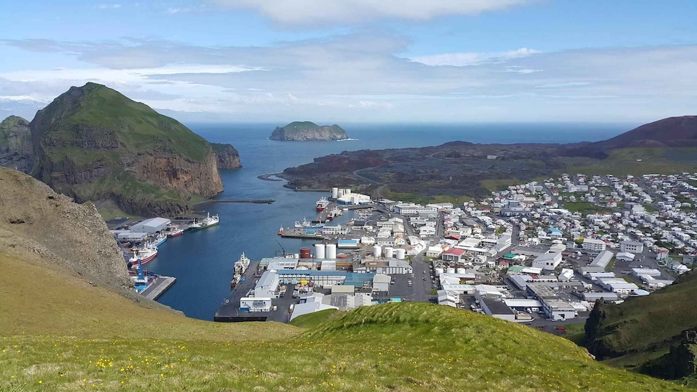 Picture 8 for Activity From Reykjavik: Vestmannaeyjar Private Tour