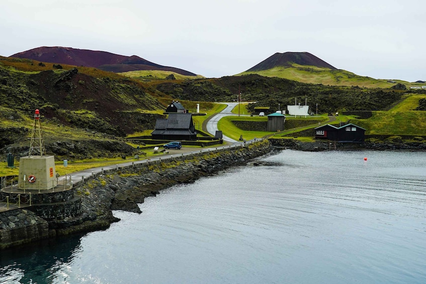 Picture 2 for Activity From Reykjavik: Vestmannaeyjar Private Tour