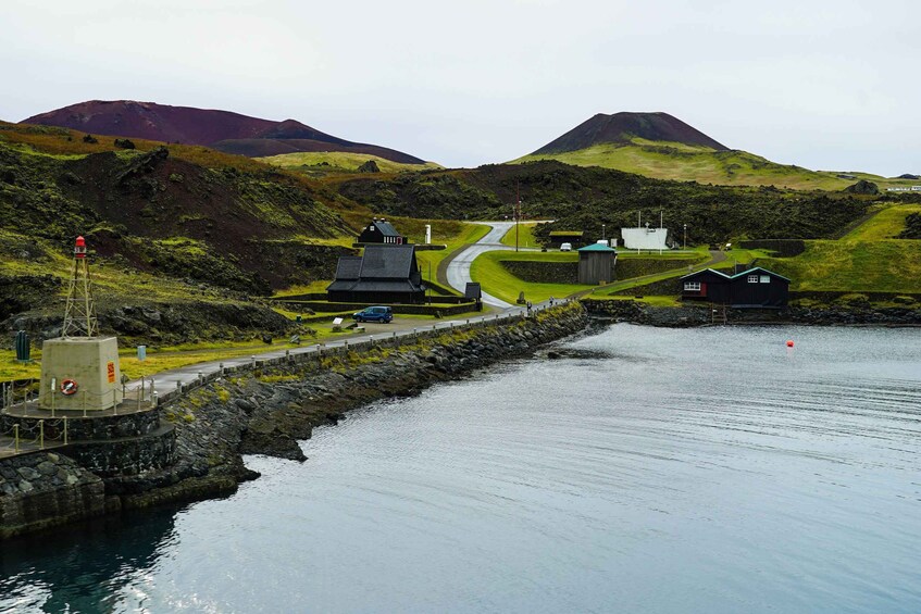 Picture 2 for Activity From Reykjavik: Vestmannaeyjar Private Tour