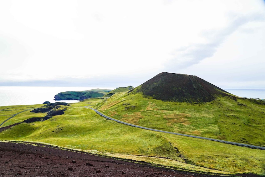 Picture 4 for Activity From Reykjavik: Vestmannaeyjar Private Tour