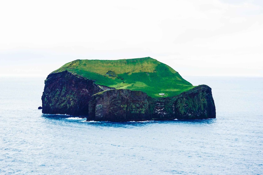 Picture 7 for Activity From Reykjavik: Vestmannaeyjar Private Tour