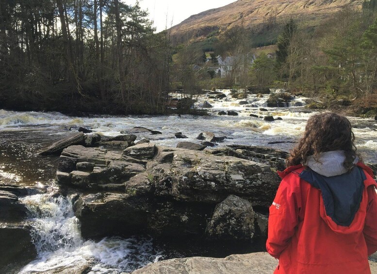 Picture 6 for Activity Loch Lomond National Park Tour with 2 Walks - from Glasgow