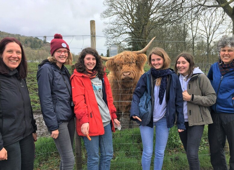 Loch Lomond National Park Tour with 2 Walks - from Glasgow