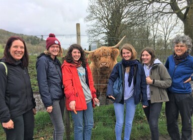 Excursión al Parque Nacional de Loch Lomond con 2 paseos - desde Glasgow