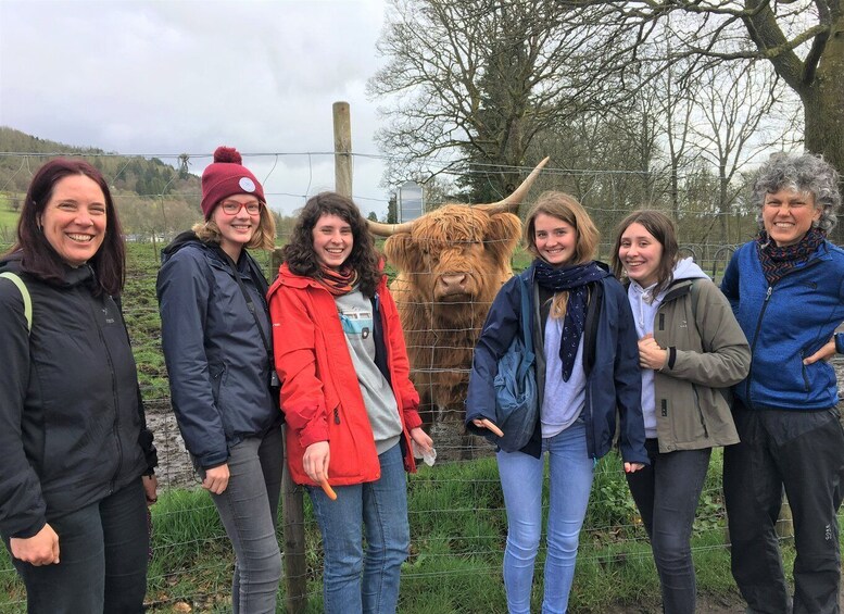 Loch Lomond National Park Tour with 2 Walks - from Glasgow