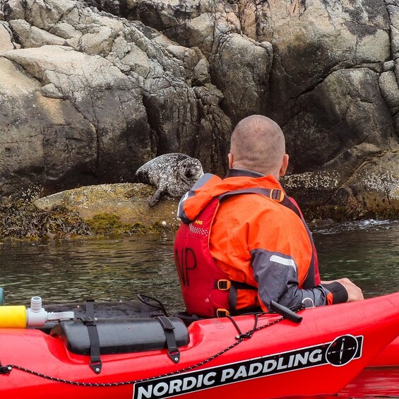 Picture 8 for Activity Stavanger: Lysefjord Kayaking Trip with Gear & Snacks