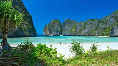 Phuket: Phi Phi Inseln und Maya Bay Tagesausflug mit Mittagessen