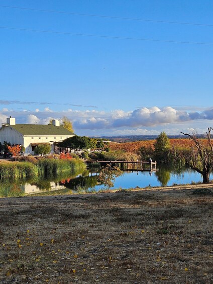 Picture 2 for Activity Paso Robles Full-Day Winery Tour with Picnic