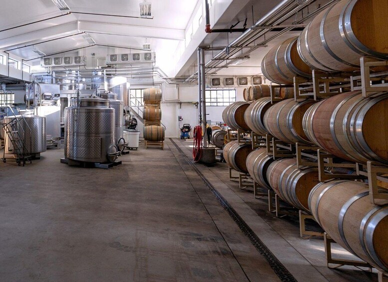 Picture 9 for Activity Paso Robles & Atascadero: 3-Winery Tour Includes Lunch