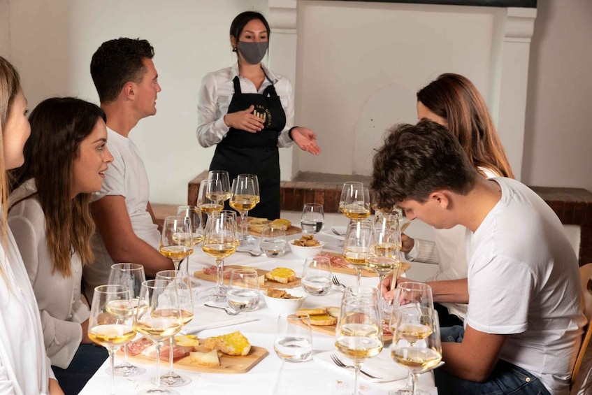 San Gimignano: Professional Wine Tasting Experience