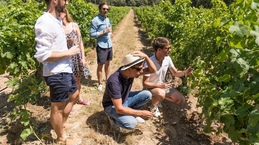 From Avignon: Châteauneuf du Pape and Luberon Tour with Wine