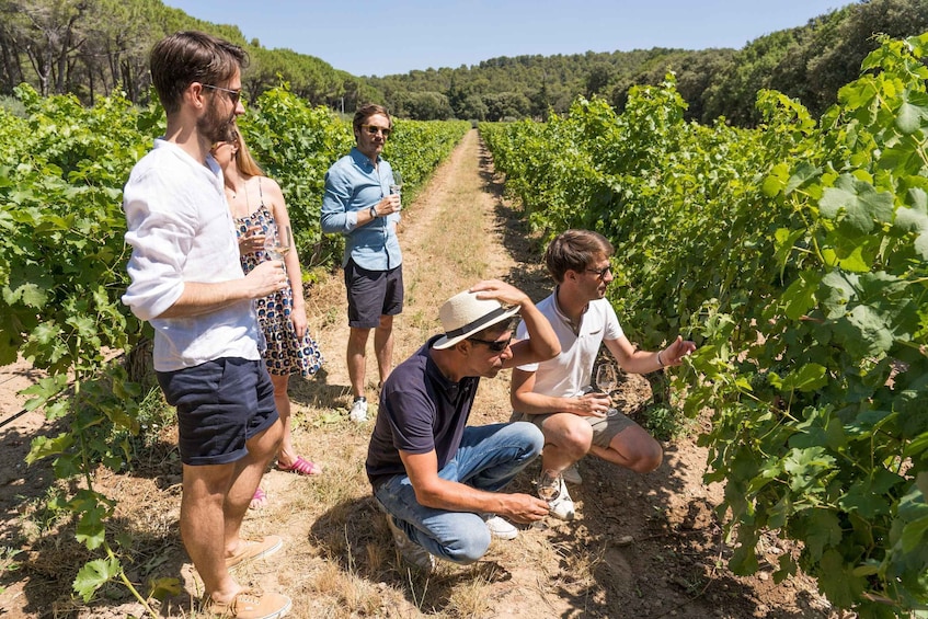 From Avignon: Châteauneuf du Pape and Luberon Tour with Wine