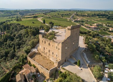 Au départ d'Avignon : Châteauneuf du Pape et Luberon avec vin