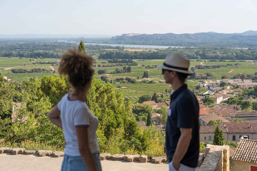 Picture 4 for Activity From Avignon: Châteauneuf du Pape and Luberon Tour with Wine